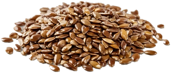 Brown flax seeds